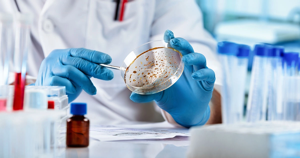 Fort Lauderdale Mold Damage Lawyer