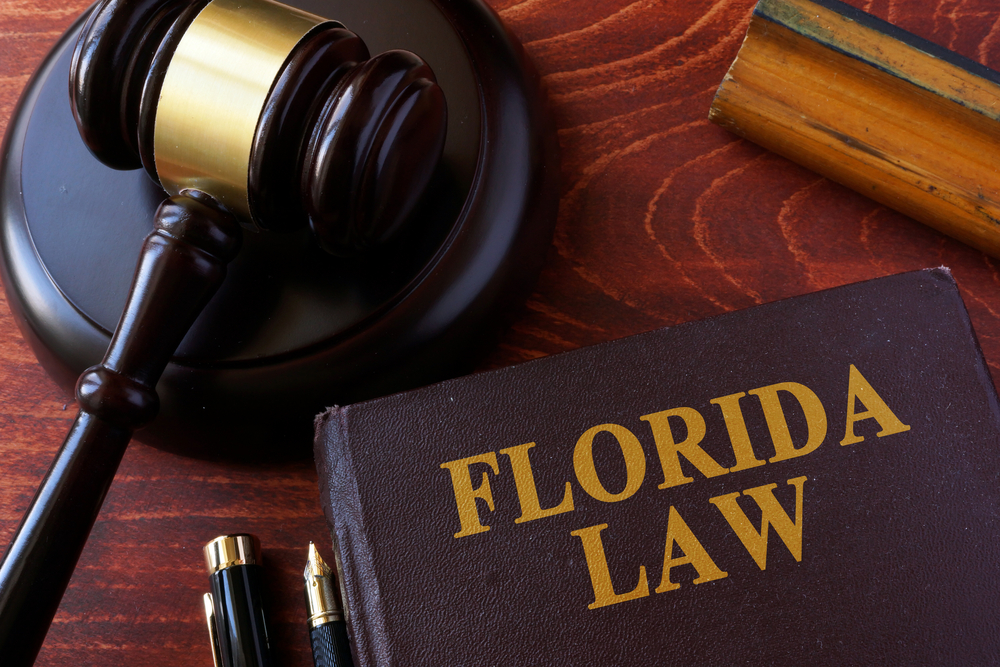 Florida Negligence Law 2025