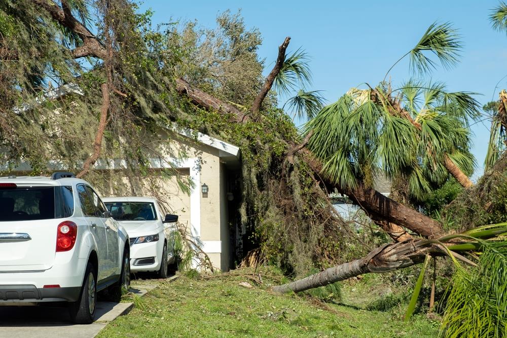 Why Hire a Hurricane Claim Lawyer?
